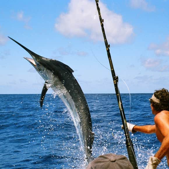 Sport Fishing Tour in Riviera Maya